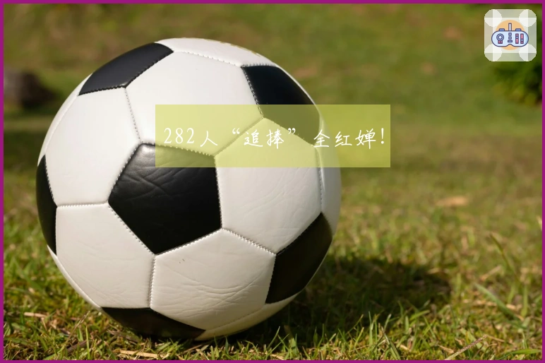 282人“追捧”全红婵!